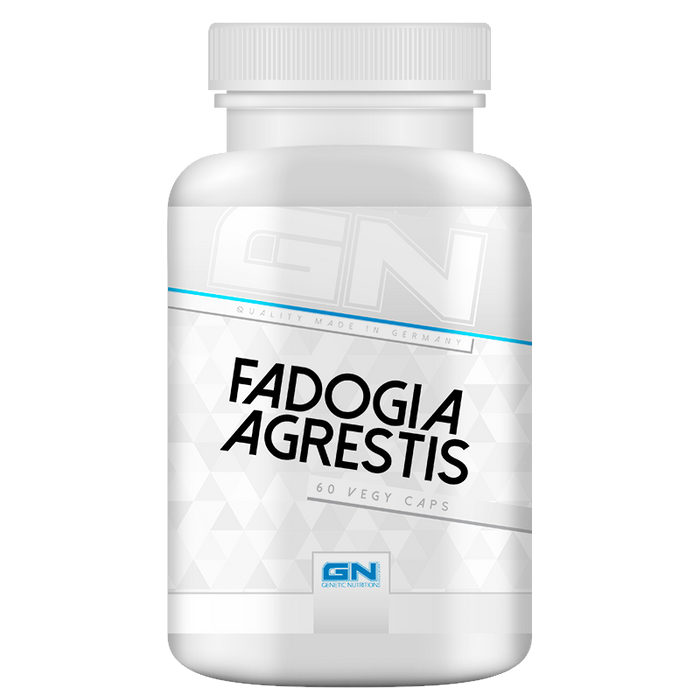 Fadogia Agrestis - 60 capsules